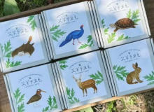 以節氣為序，調和失速的生活：埔里手感皂品牌「植萃坊」
