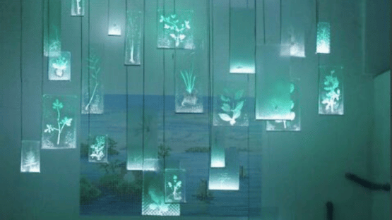 比起藝術季，更像是一座城鎮的祭典：日本 愛知三年展